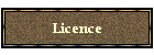 Licence